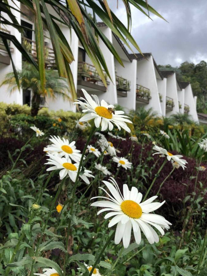 Hotel Ladera Boquete Bagian luar foto